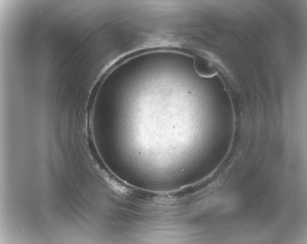 X0000066091220200603101157