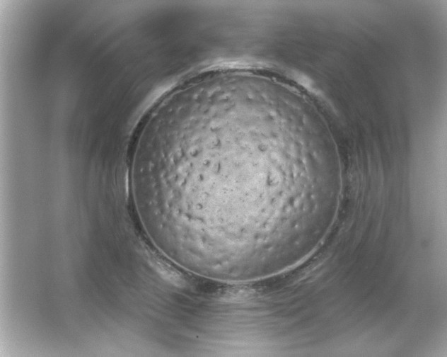 X0000066091221200603101157