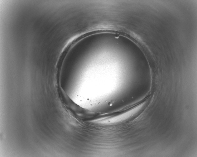 X0000066091222200603101157