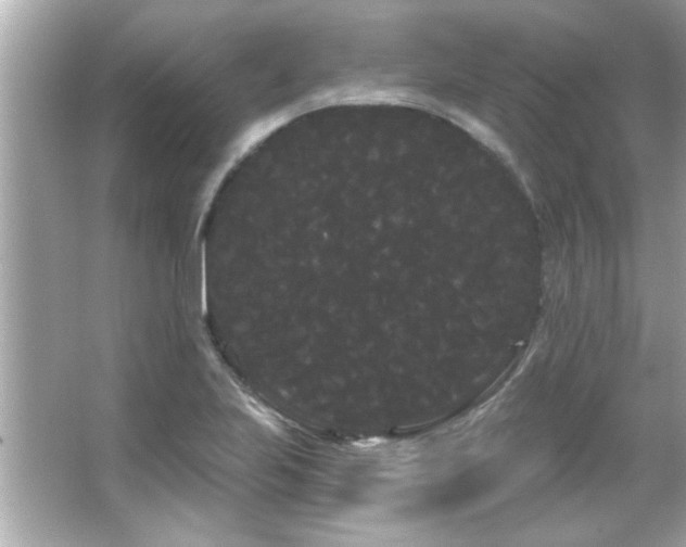 X0000066091223200603101157