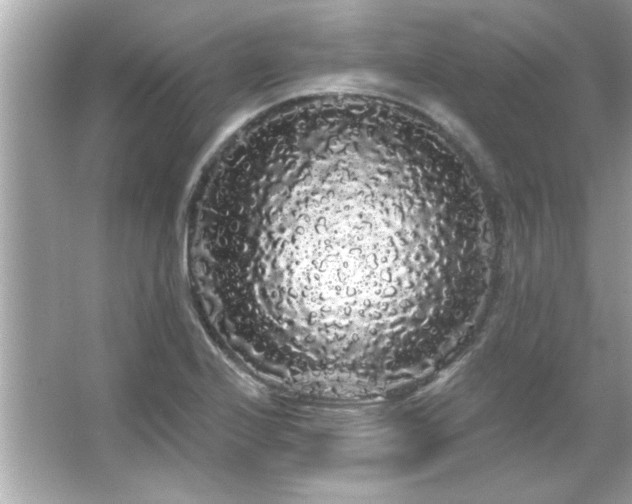 X0000066091224200603101157