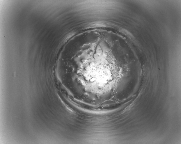 X0000066091225200603101157