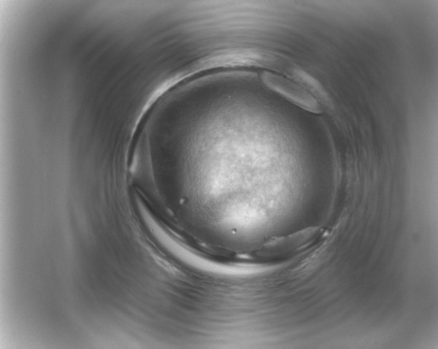 X0000066091226200603101157