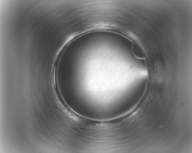 X0000066091227200603101157