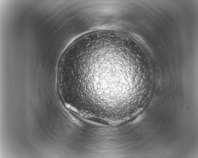 X0000066091228200603101157