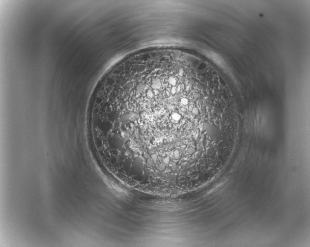 X0000066091229200603101157