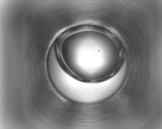 X0000066091230200603101157