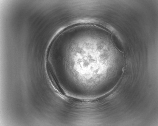 X0000066091232200603101158