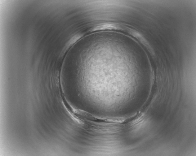 X0000066091233200603101158