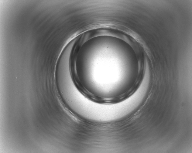 X0000066091234200603101158