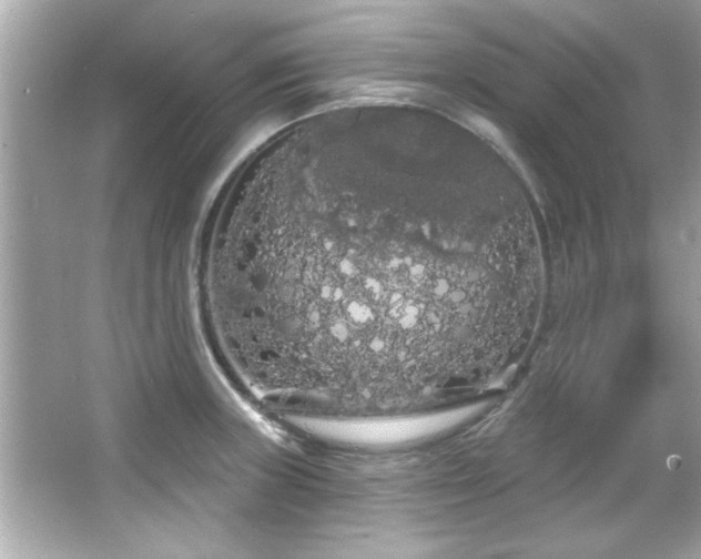 X0000066091235200603101158