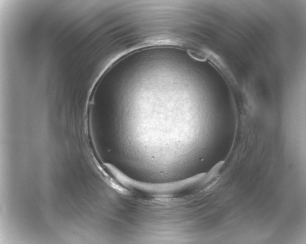 X0000066091236200603101158