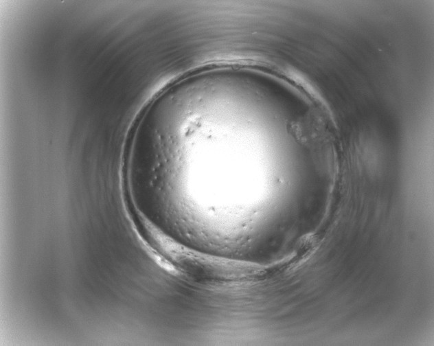 X0000066091237200603101158