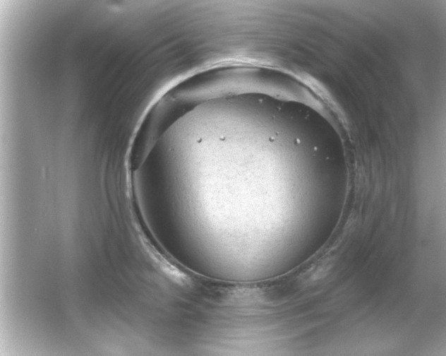 X0000066091238200603101158