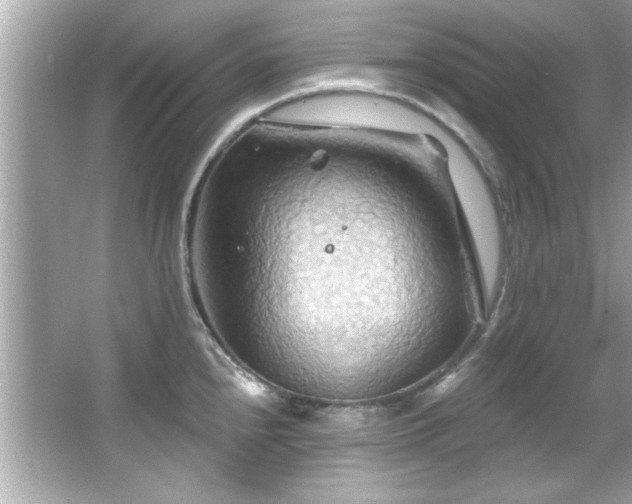 X0000066091240200603101158