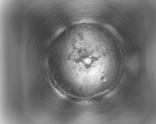 X0000066091241200603101158