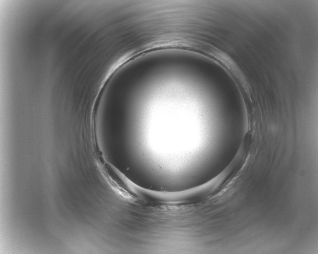 X0000066091242200603101158