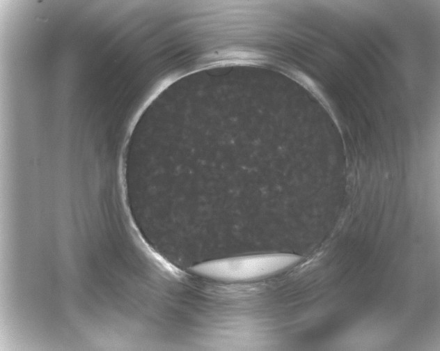 X0000066091243200603101158