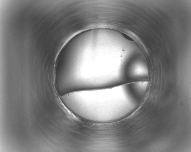 X0000066091244200603101158