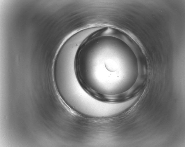 X0000066091246200603101158