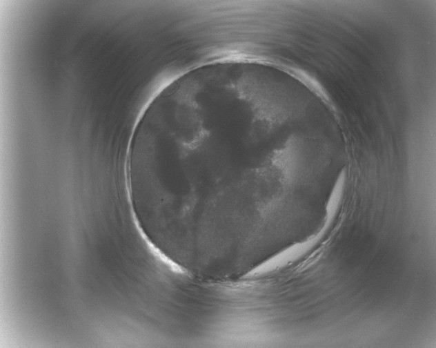 X0000066091247200603101158