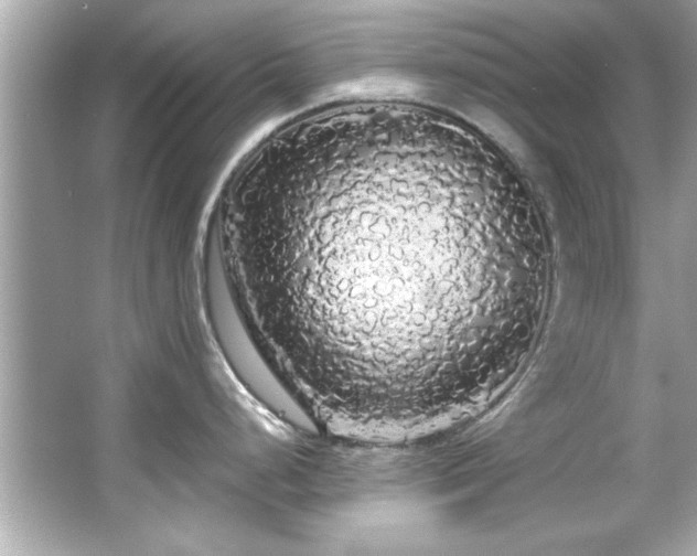 X0000066091248200603101158