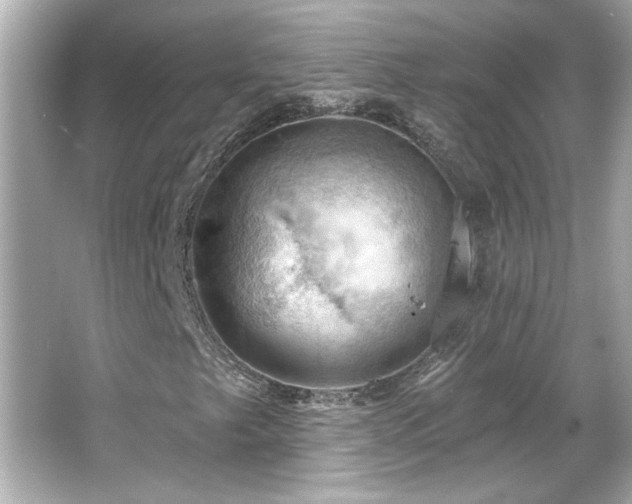 X0000066091249200603101157