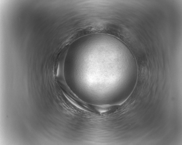 X0000066091250200603101157