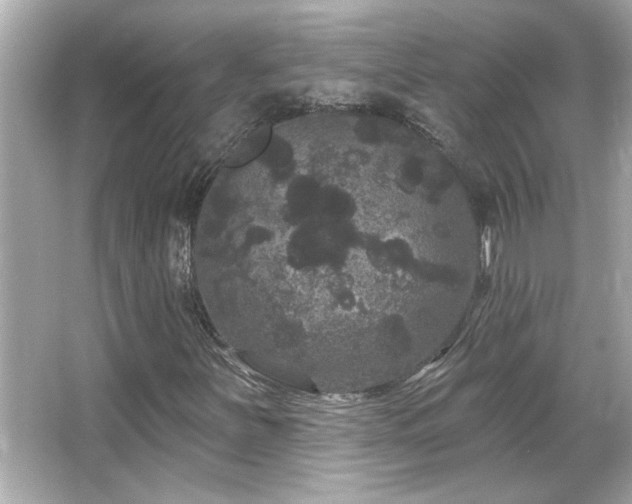 X0000066091251200603101157