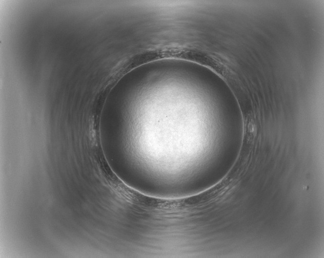 X0000066091252200603101157