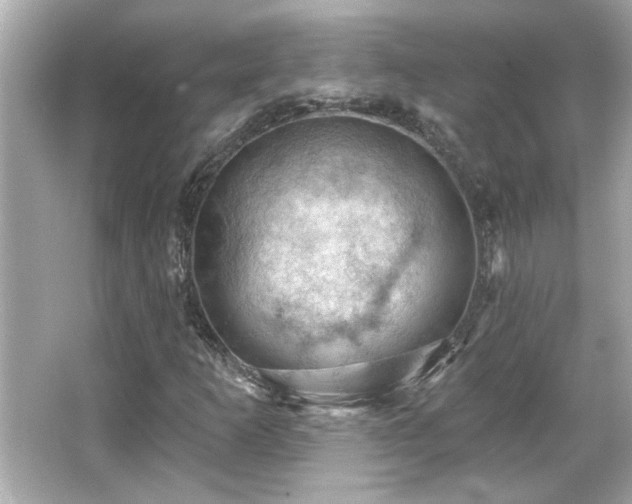 X0000066091253200603101157