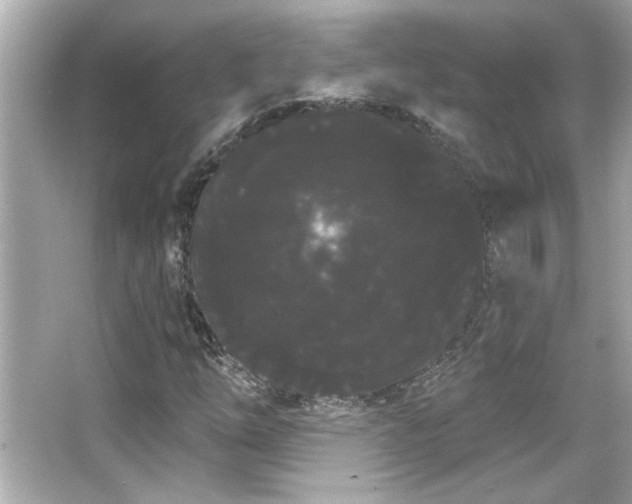 X0000066091254200603101157