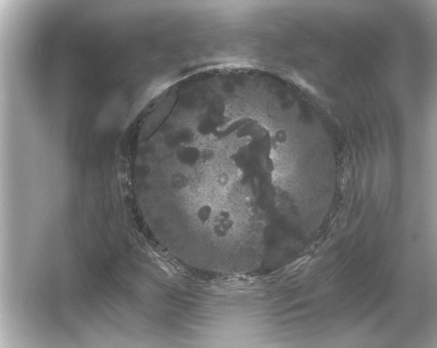 X0000066091255200603101157