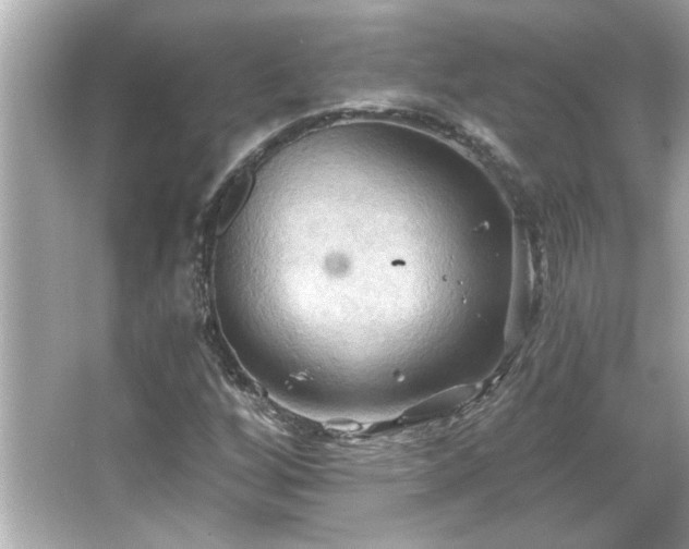 X0000066091256200603101157