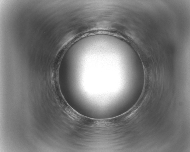 X0000066091258200603101157