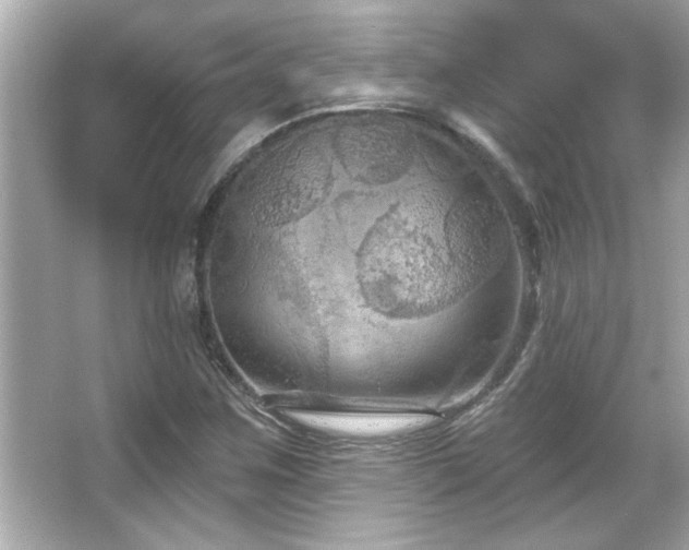 X0000066091259200603101157