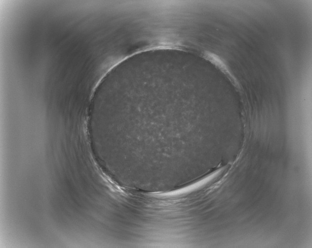 X0000066091260200603101157