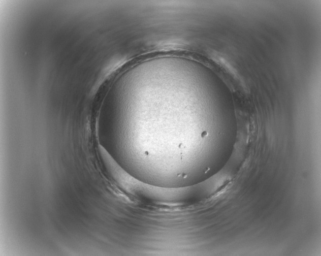 X0000066091261200603101157