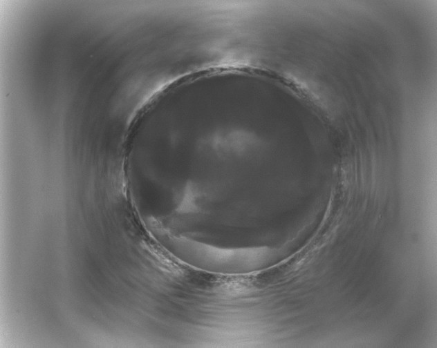 X0000066091262200603101157