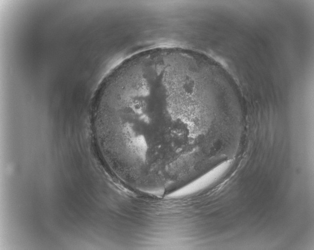 X0000066091263200603101157