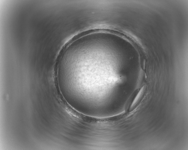 X0000066091264200603101157