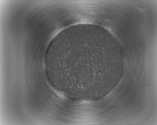 X0000066091266200603101157