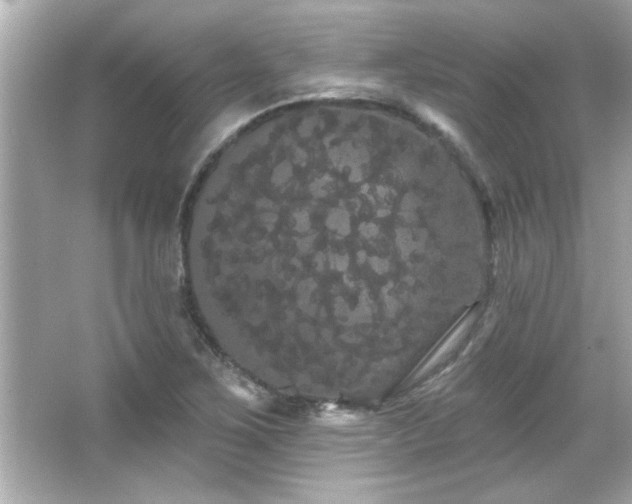 X0000066091267200603101157