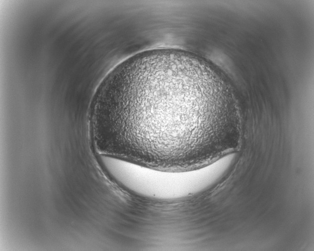 X0000066091268200603101157