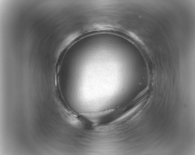 X0000066091269200603101157