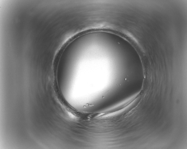 X0000066091270200603101157