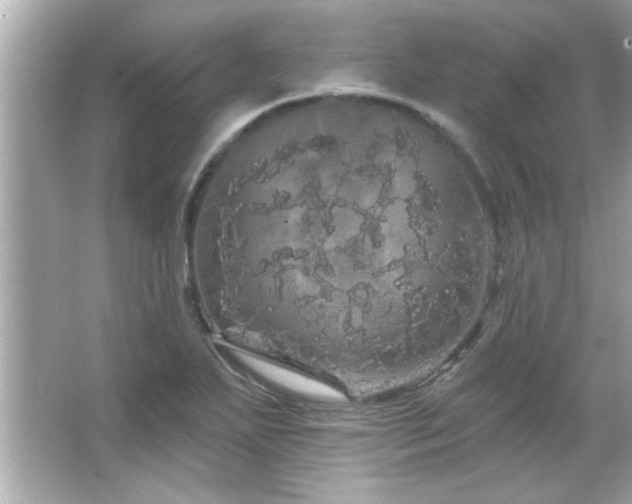 X0000066091271200603101157