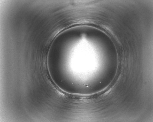 X0000066091273200603101157