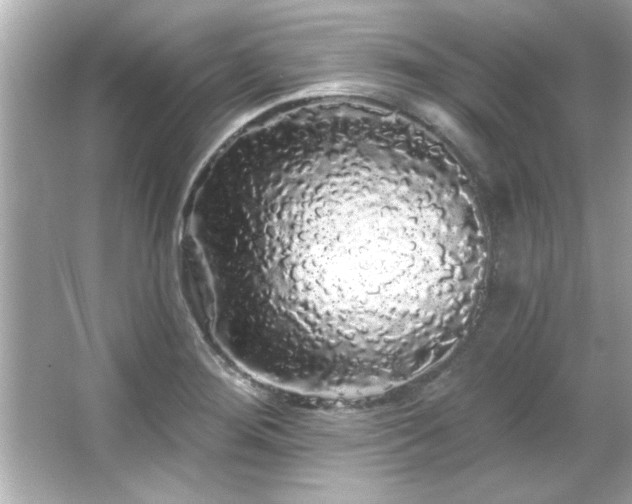 X0000066091276200603101157