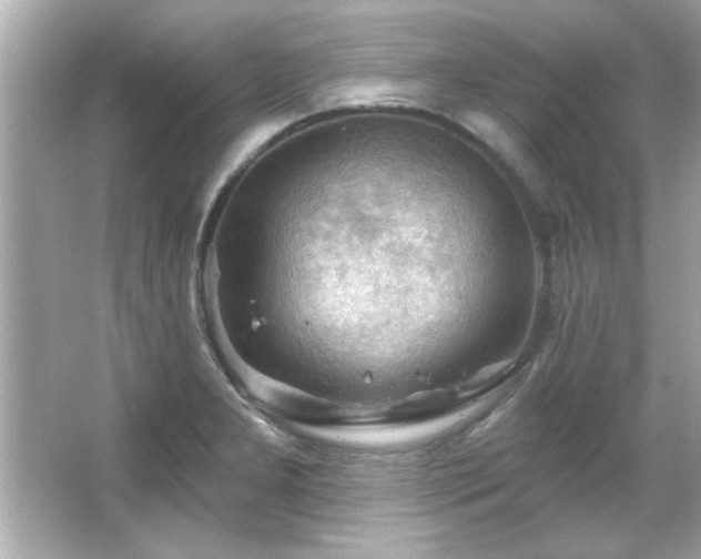 X0000066091277200603101156